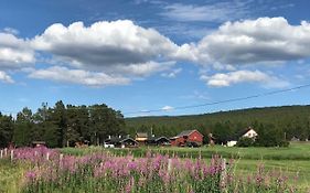 Roste Hyttetun Og Camping
