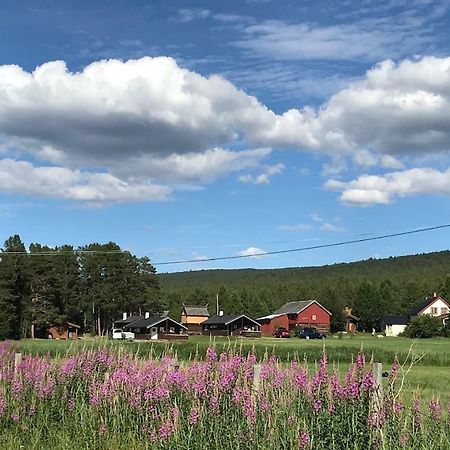 Roste Hyttetun Og Camping Os (Hedmark) Extérieur photo