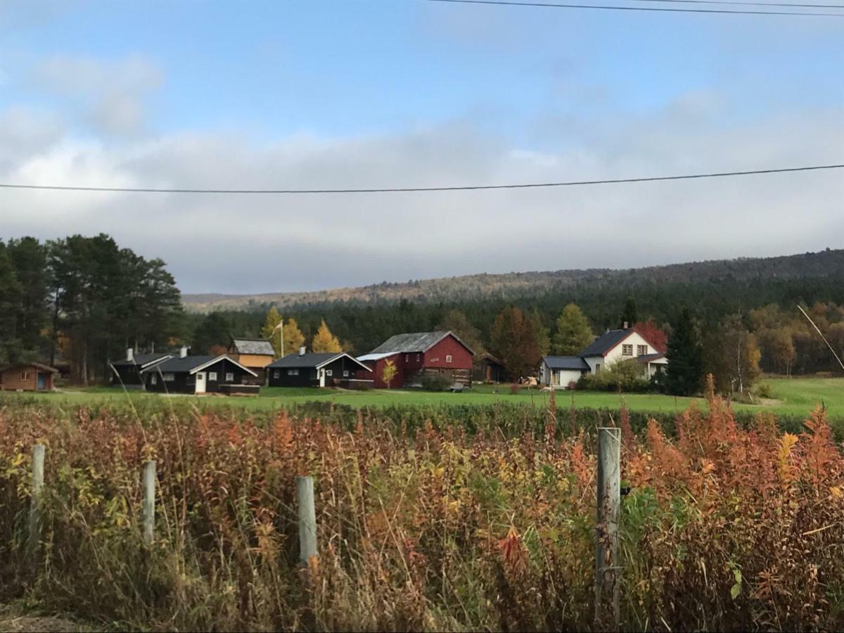 Roste Hyttetun Og Camping Os (Hedmark) Extérieur photo
