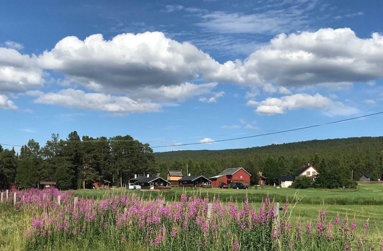 Roste Hyttetun Og Camping Os (Hedmark) Extérieur photo
